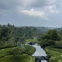 발리 우붓 5성급 호텔 추천 : Padma Resort Ubud