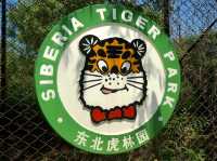 Siberia Tiger Park in Harbin