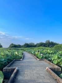 Tsuchiura City Kasumigaura Comprehensive Park