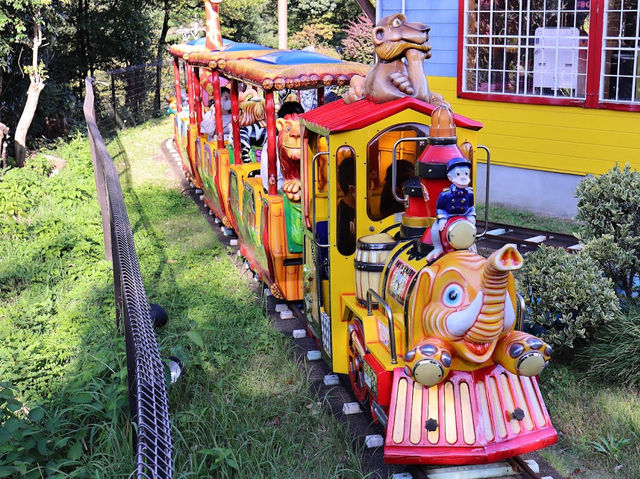 Japan Monkey Park