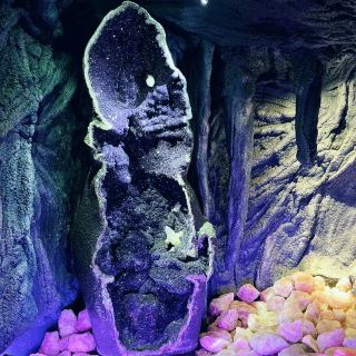 The Crystal Caves @ Atherton, Cairns 🇦🇺