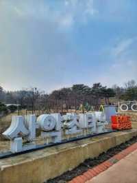 겨울엔 휴식을 봄엔 꽃나들이의 행복을 담는 곳✨️