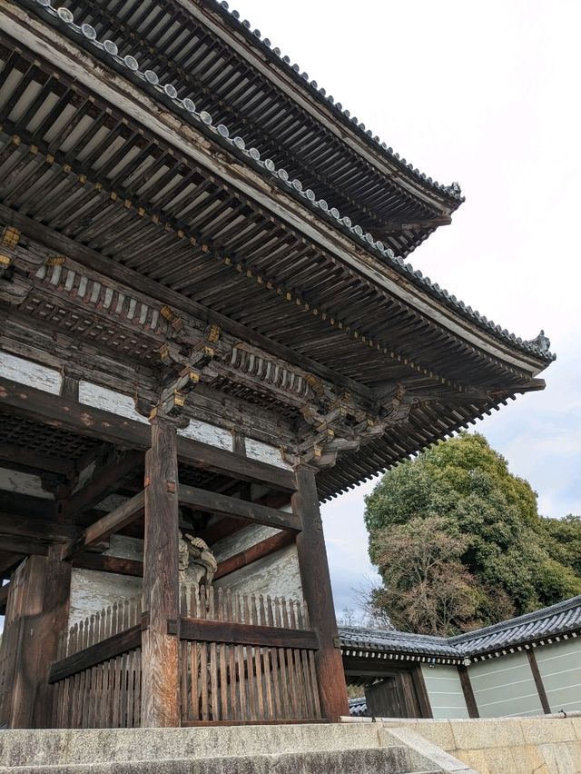 世界遺産【仁和寺】のニ王門は、２体の金剛力士像達に護られている