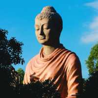 วังพญานาค 4 ตระกูล พุทธอุทยานหลวงปู่สด