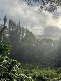 หัดเดินป่าที่ Manao falls Trail 