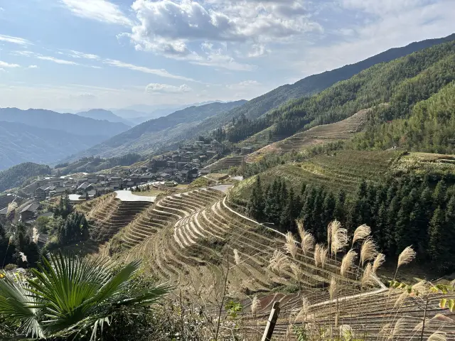 Ruộng bậc thang Longji Làng Ping'an