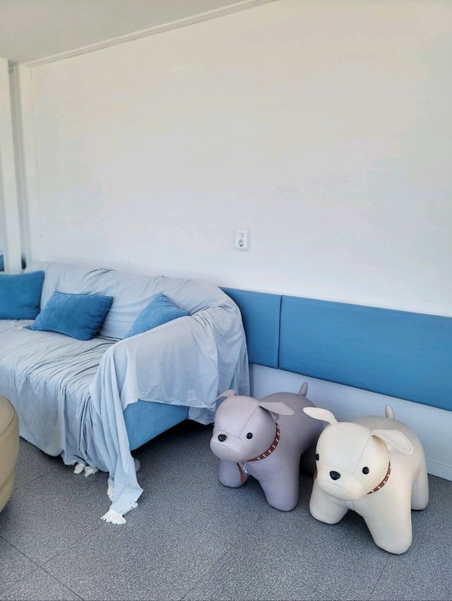 눈호강 오션뷰 제대로 즐기는 경주 봄여행🩵