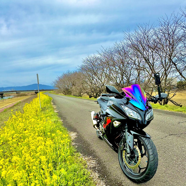 日野川河川公園