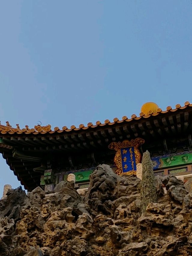 北京丨紅墻內的景色丨北京故宮博物院