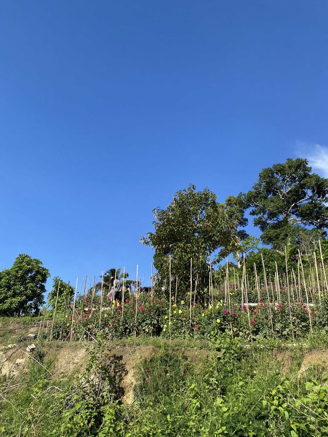 Hiking to the Peak of Penang Hill 🇲🇾