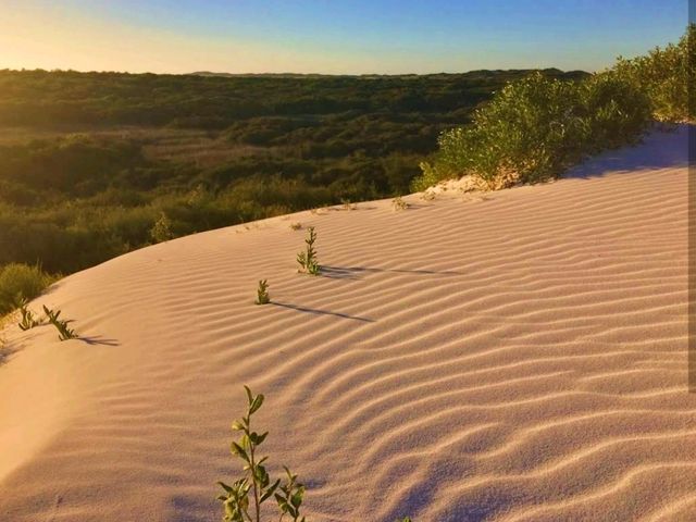 Nambung National Park