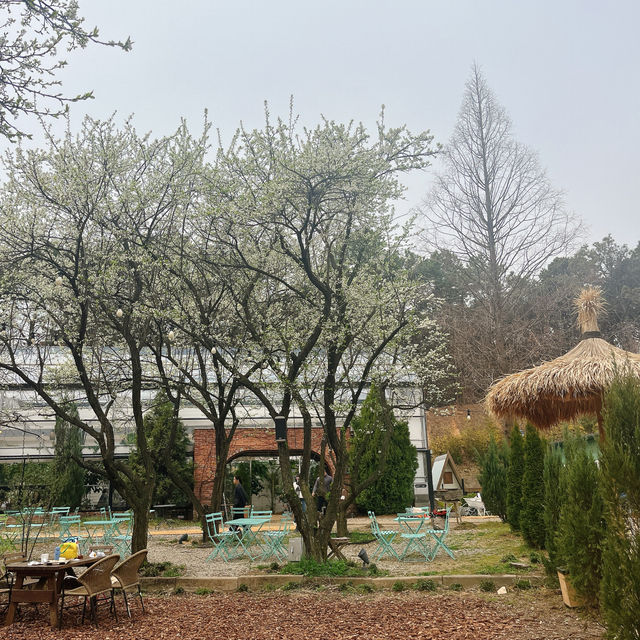 서울근교 여행! 경기도 벚꽃명소에 호캉스까지 힐링 여행 코스
