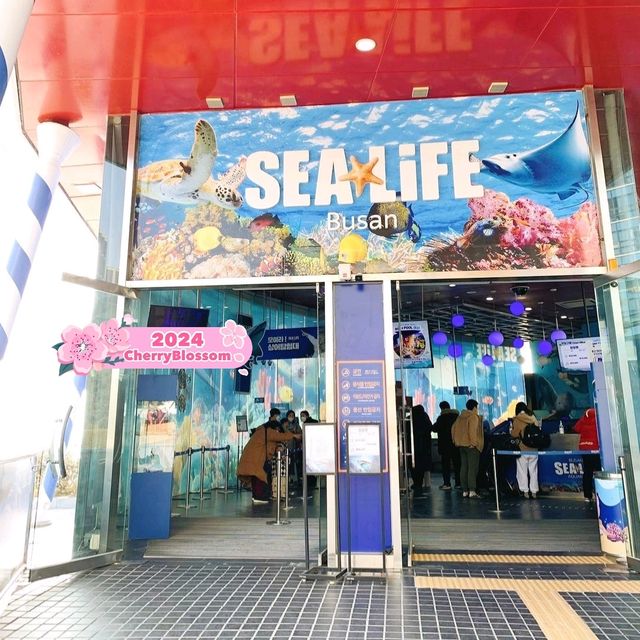 Sea Life Busan Aquarium in Korea 