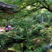 「大阪五風莊庭園：傳統日式庭園，感受日本韻味」