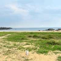 新北貢寮-藍灣咖啡廳｜鹽寮海濱公園