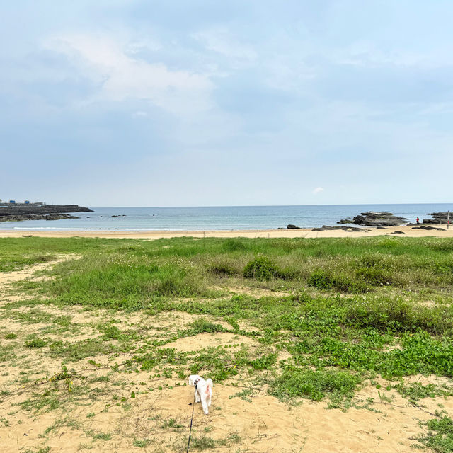 新北貢寮-藍灣咖啡廳｜鹽寮海濱公園