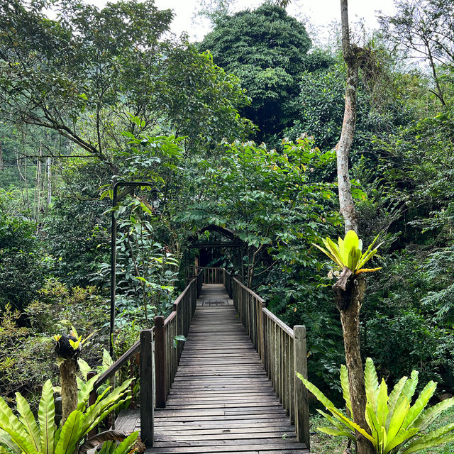 Tingkat Valley Ipoh InstaWorthy Glamping Place With Nature Vibes