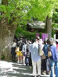 【猿田彦神社/東京都】開運道ひらき詣の特別な期間