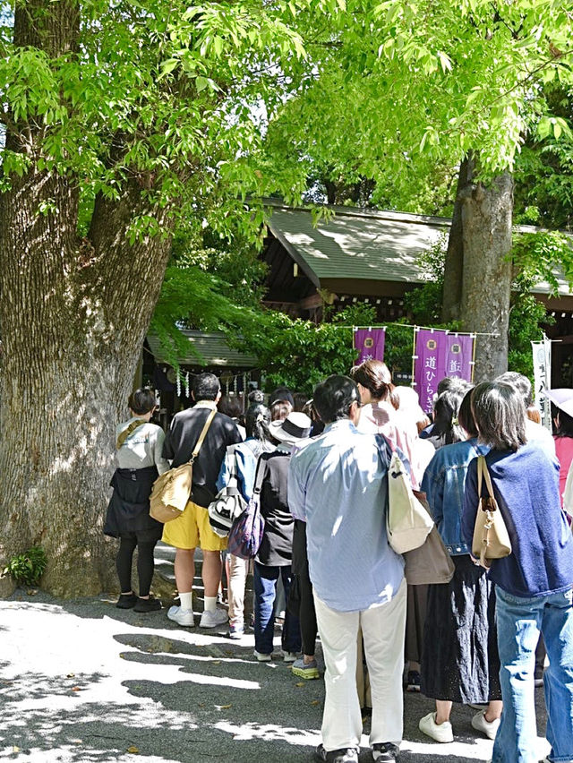 【猿田彦神社/東京都】開運道ひらき詣の特別な期間