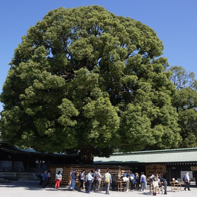 Meiji shrine