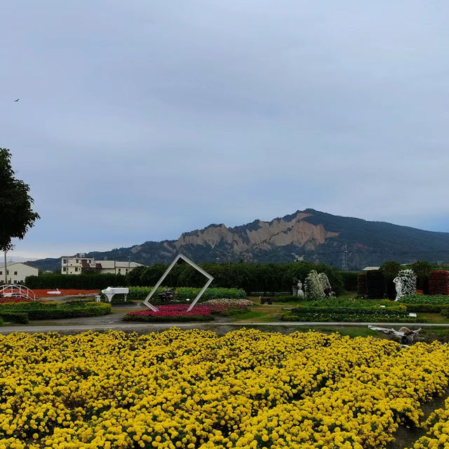 「臺北花博公園：絢爛多彩的花卉世界，與自然互動」