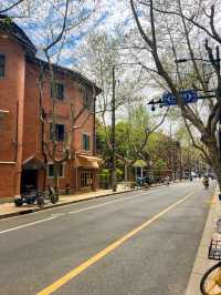 Vibrant Shanghai City Streets