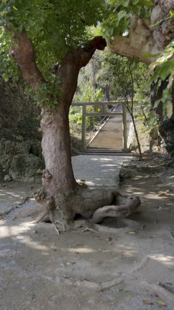 沖縄】神秘的パワースポット！絶景神社 | Trip.com うるま