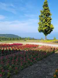 淡路島　大パノラマのお花畑を楽しめる公園🌷