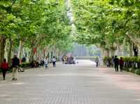 Fuxing Park