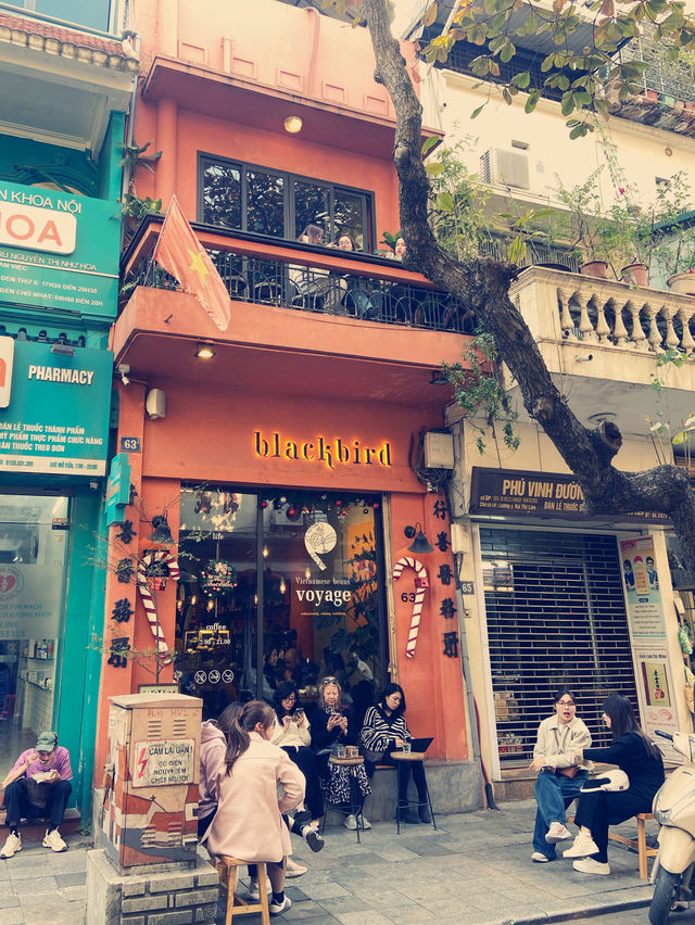 Dating with a blackbird 🐦‍⬛ in Hanoi cafe 