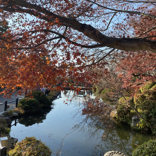 ### 京都祇園夜楓的魔幻之夜