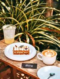 🥤Molley Coffee Stand