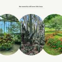 「沖繩東南植物樂園：珍稀植物，科普教育，豐富遊園體驗」