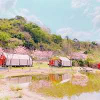 寶來花賞溫泉公園賞花