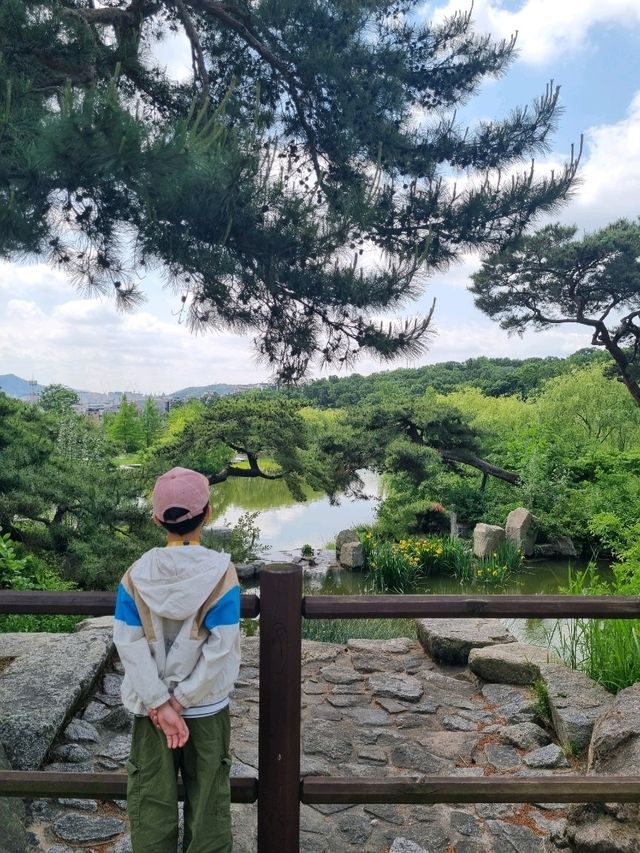 서울 도심 한복판에서 찾은 피크닉 명소