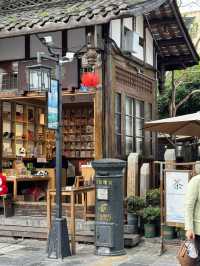 Chengdu 🌳Kuanzhai Alley