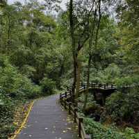 見晴懷古步道：驚艷自然景緻，遊客喜愛的高山步道