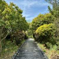 「十里花溪濕地公園：花海夢幻，春色迷人」