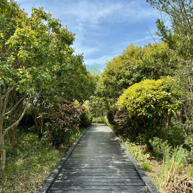 「十里花溪濕地公園：花海夢幻，春色迷人」
