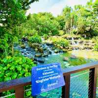🇸🇬 Wetlands at Gardens by the Bay