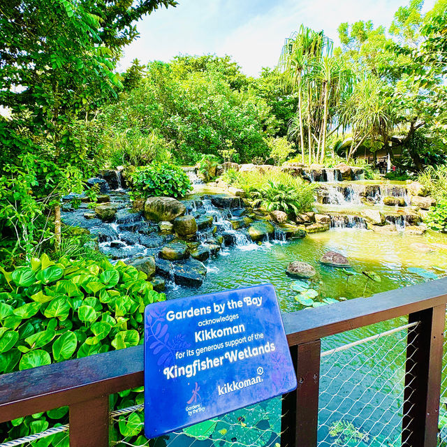 🇸🇬 Wetlands at Gardens by the Bay