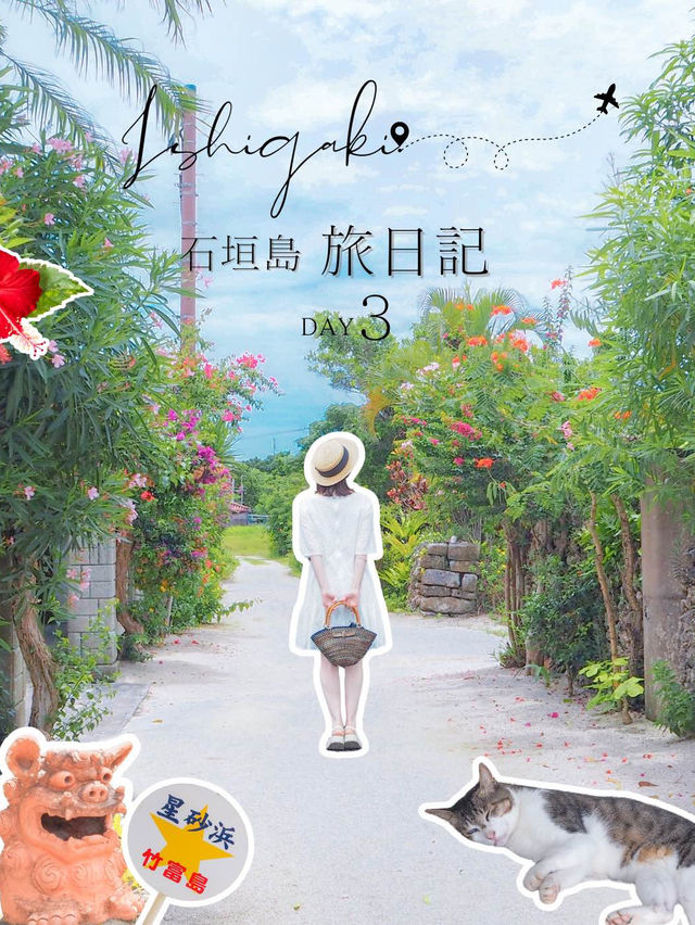 【沖縄・石垣島】石垣島旅日記　DAY3📒