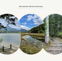 Nice自然公園：寧靜美景，享受快樂時光