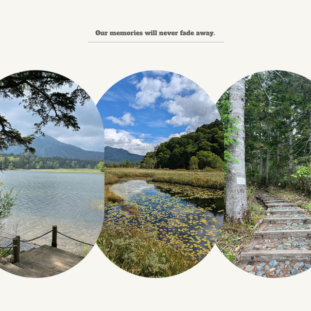 Nice自然公園：寧靜美景，享受快樂時光