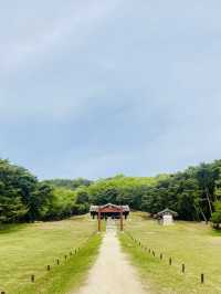 🇰🇷 Immersing Cultural and Natural Experience at Seooreung Royal Tombs