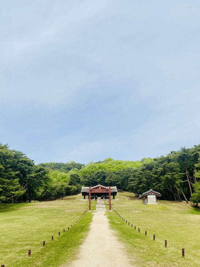 🇰🇷 Immersing Cultural and Natural Experience at Seooreung Royal Tombs