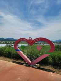 경비행기를 볼수 있는 함안 악양둑방길💚