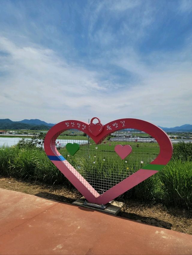 경비행기를 볼수 있는 함안 악양둑방길💚