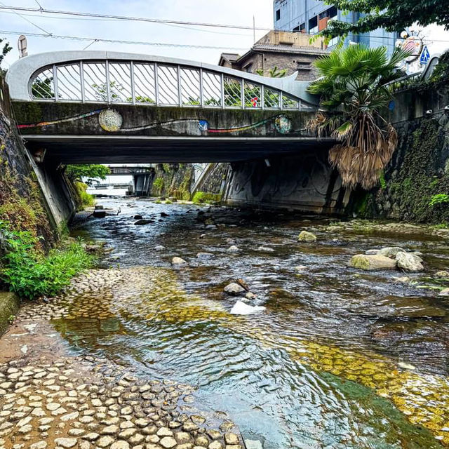 Shizuoka ที่ไม่ใช่ฟูจิ ไปไหนดี🤔