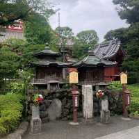 慈光院庭園：匠心設計，必到之處